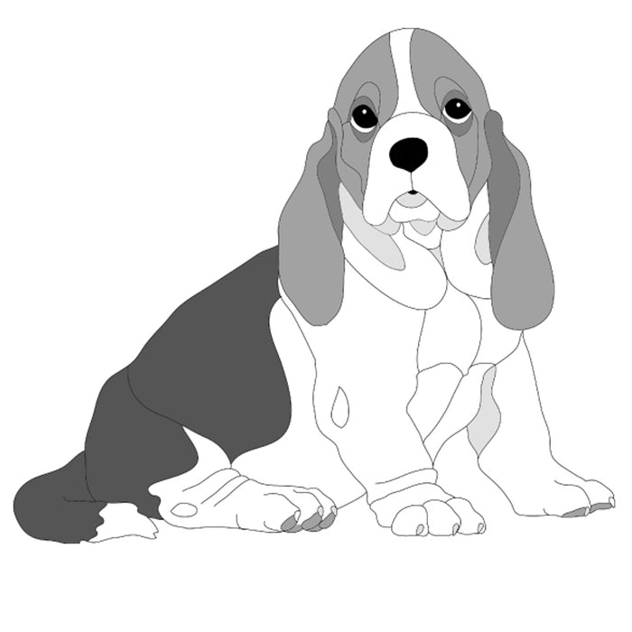 Basset Hound Puppy Sitting