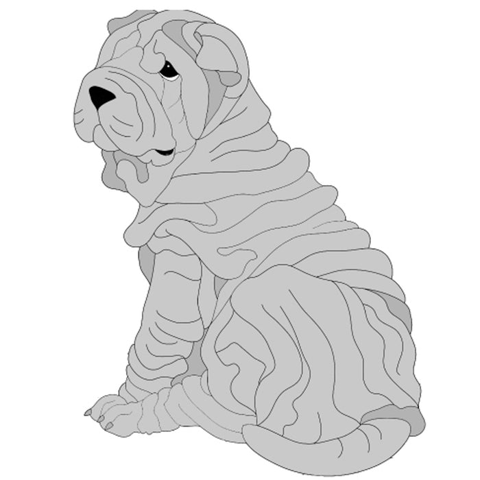 Shar Pei Puppy Sitting