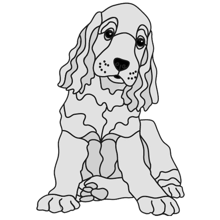 Cocker Spaniel Puppy Sitting