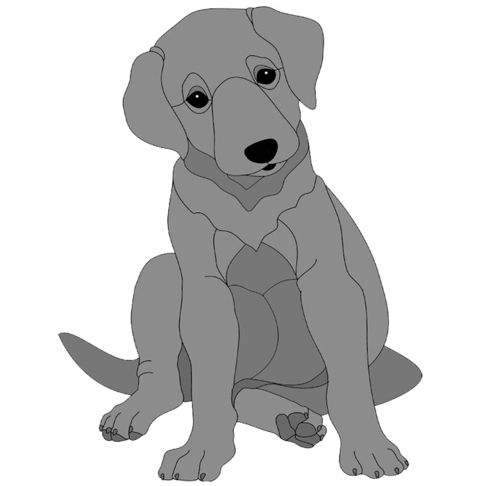 Labrador Retriever Puppy Sitting