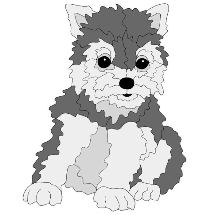 Yorkie Puppy Sitting