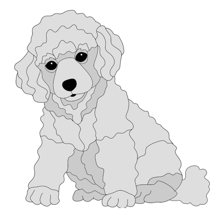 Poodle Puppy Sitting
