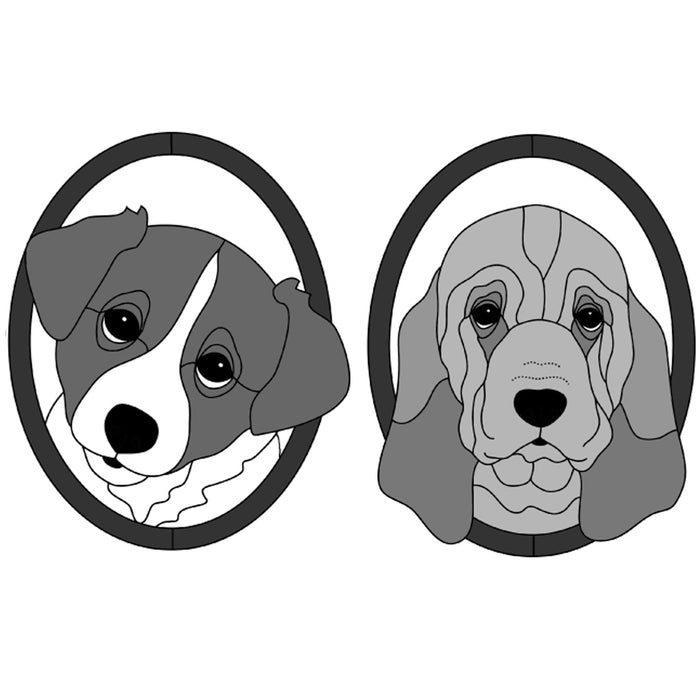 Border Collie & Bloodhound Puppy Heads