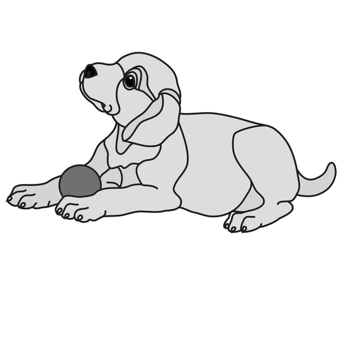 Labrador Puppy with Ball