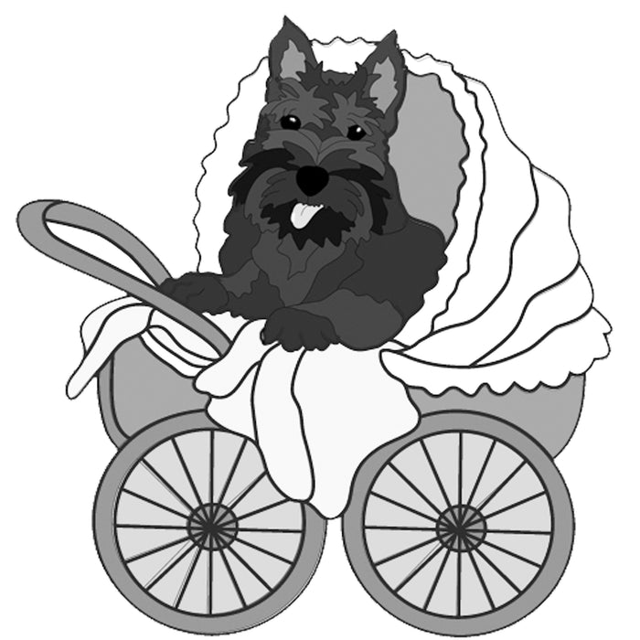Scottish Terrier in Carriage