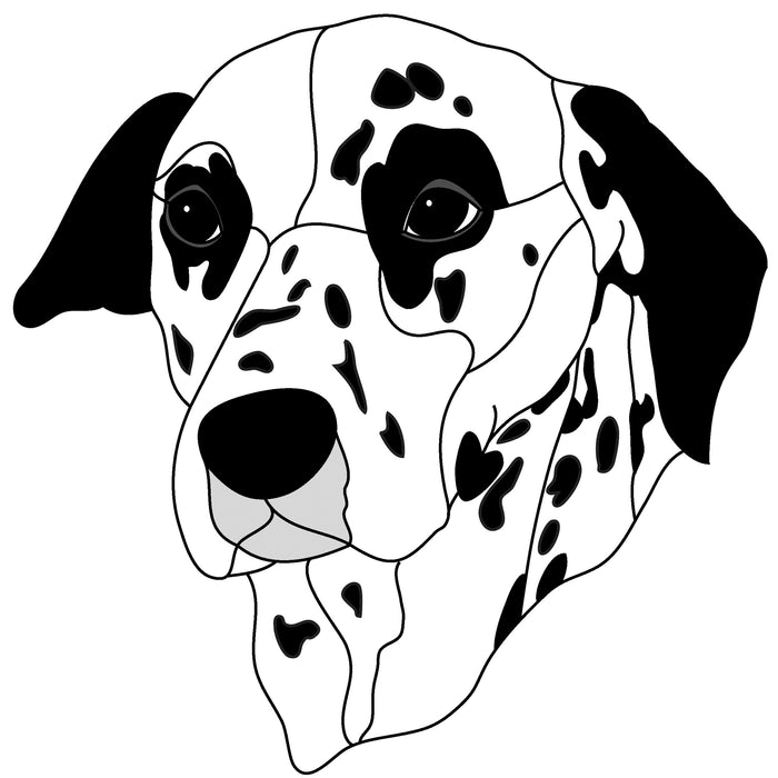 Dalmatian Head #2