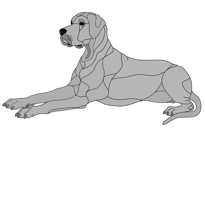 Great Dane Lying Large
