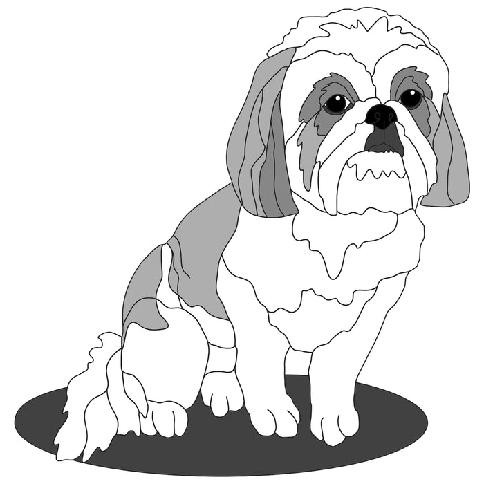 Sitting Shih Tzu