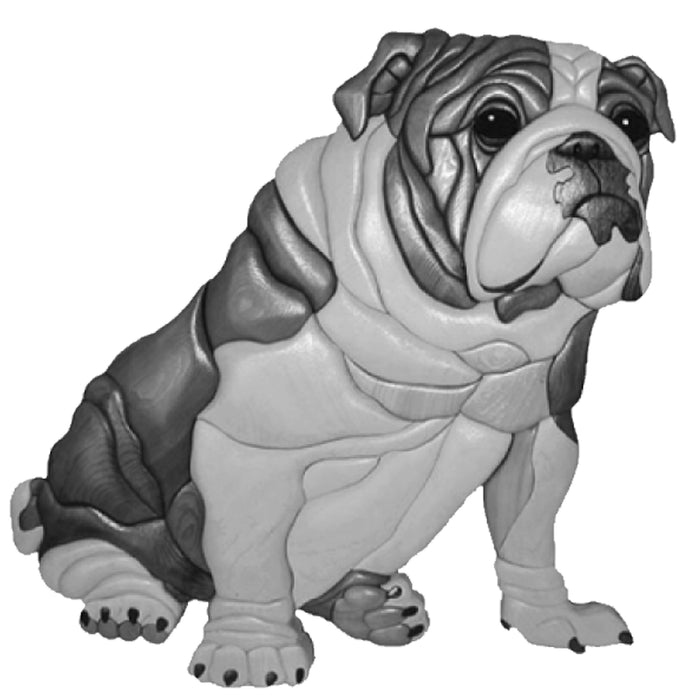 English Bulldog Sitting LIfesize