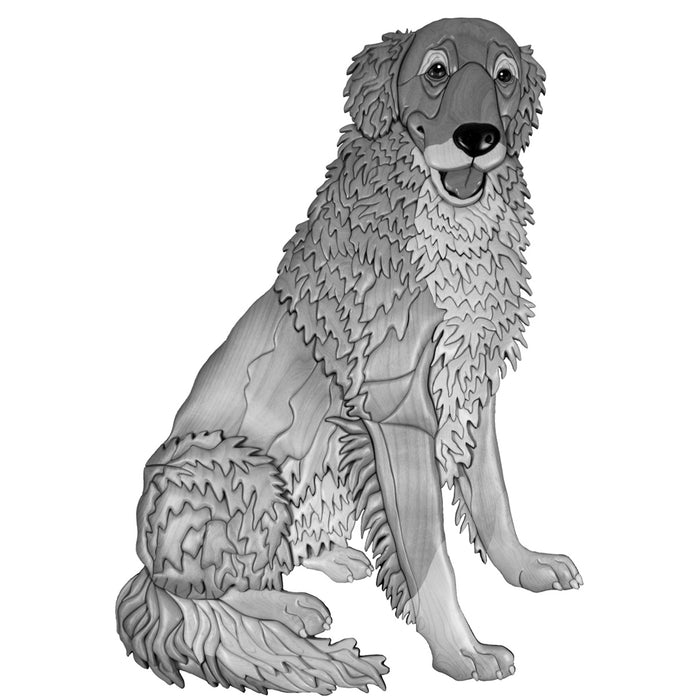 Golden Retriever Sitting Life-size Expert