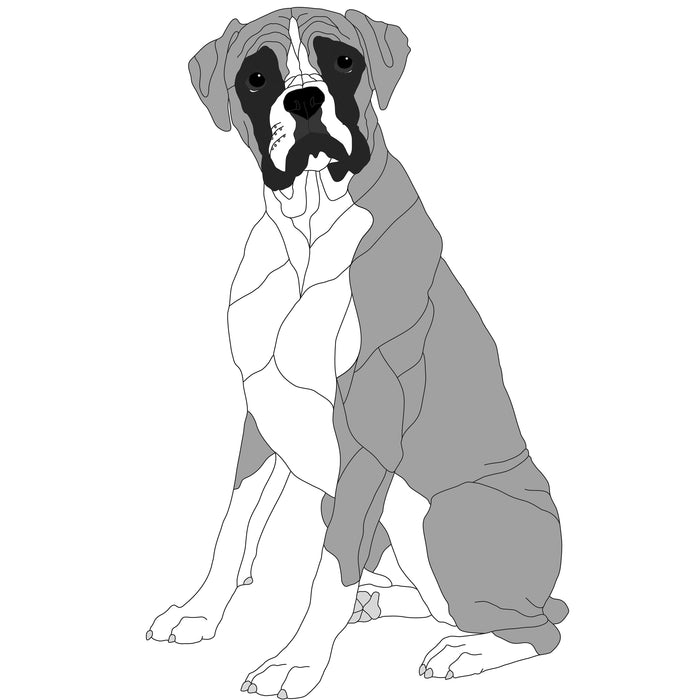 Boxer Sitting Lifesize