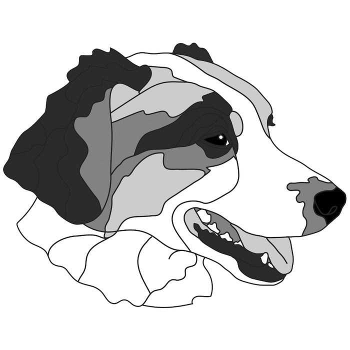 Australian Shepherd Head #3
