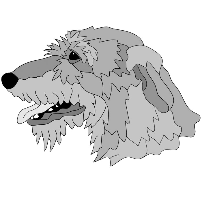 Irish Wolfhound Head