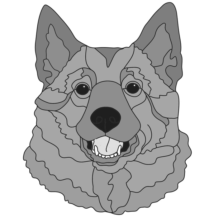 Norwegian Elkhound Head
