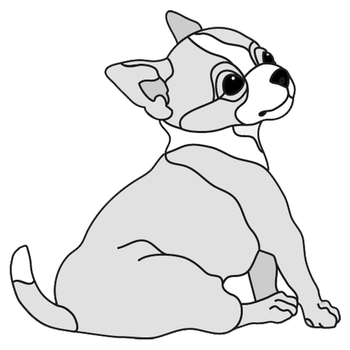 Chihuahua Puppy Sitting