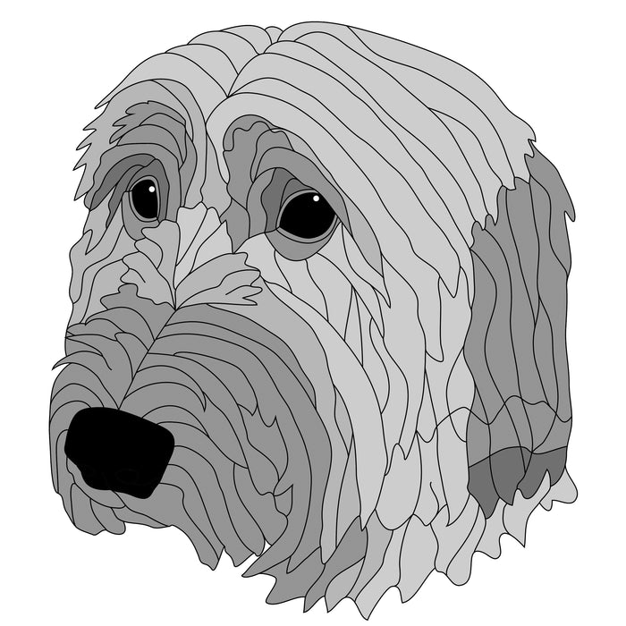 Briard Head