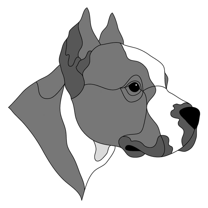 Pit Bull Head