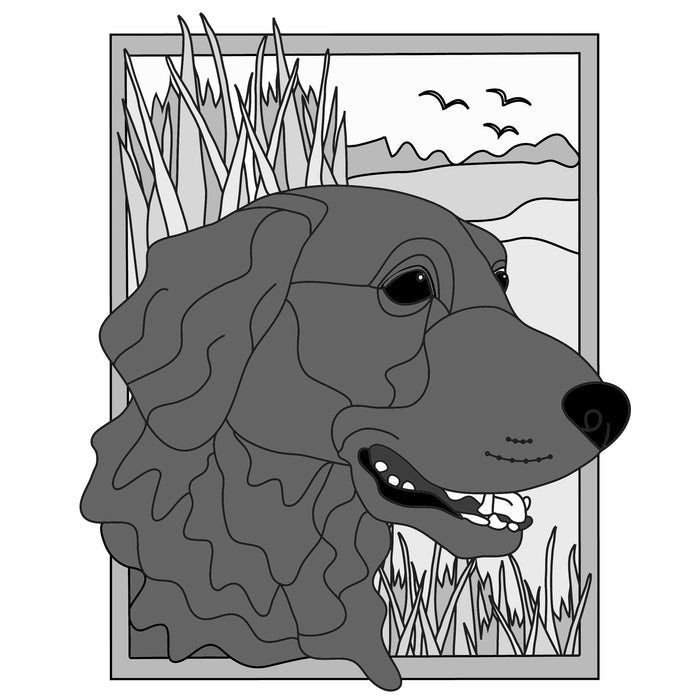 Hunting Flat Coated Retriever Head in Frame