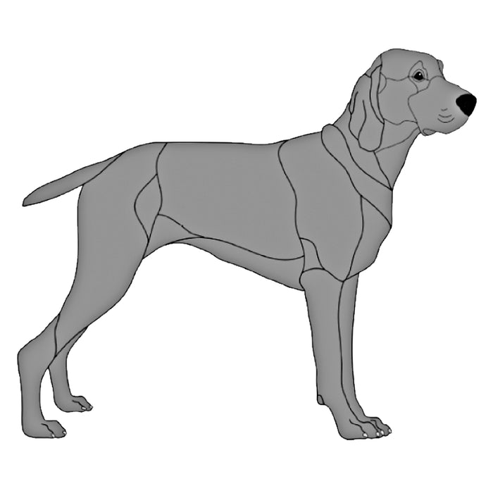 Weimaraner Standing