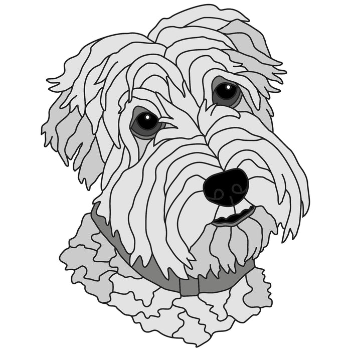 Wheaten Terrier Head #2 (New)