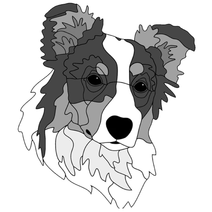 Australian Shepherd Head #2