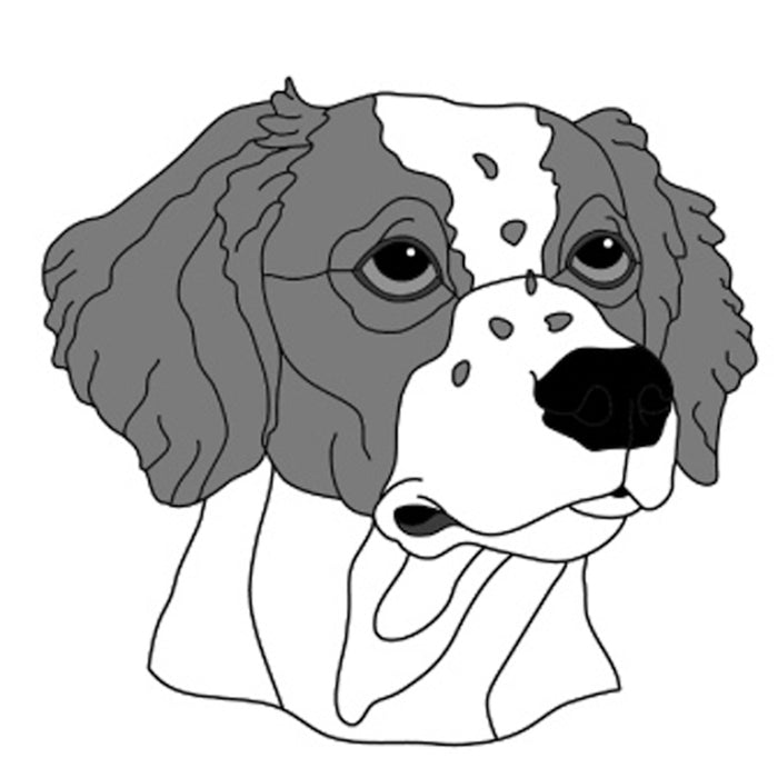 Brittany Spaniel Head #2