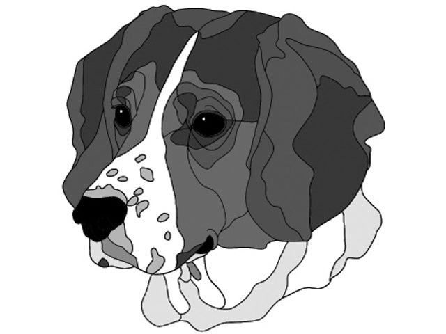 Beagle Head #2