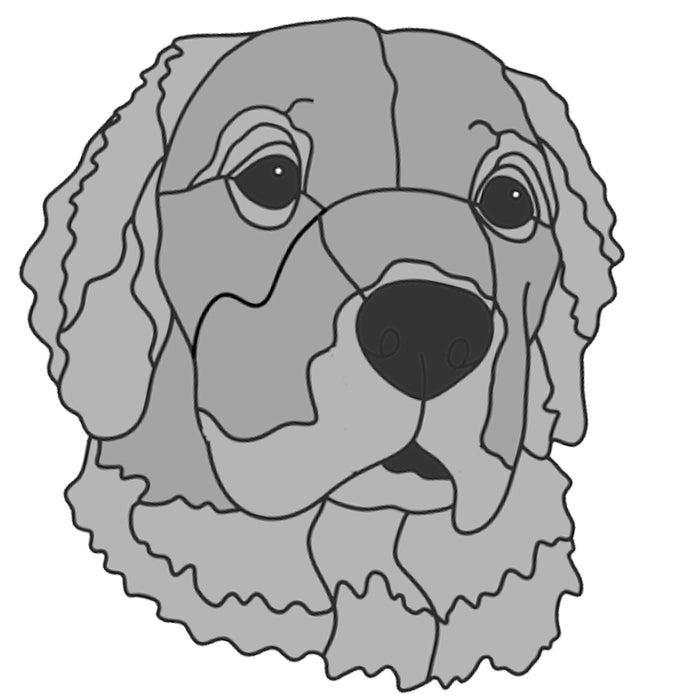 Golden Retriever head #4