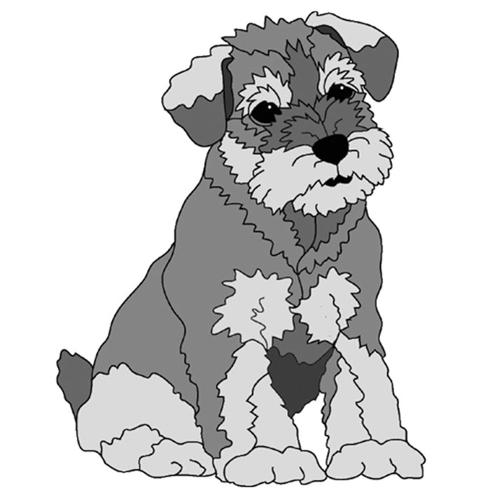 Schnauzer Puppy Sitting