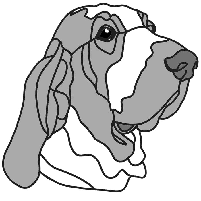 Bracco Italiano Head