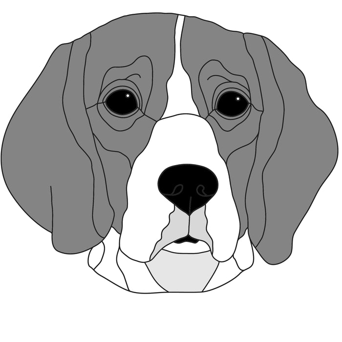 Beagle Head #3