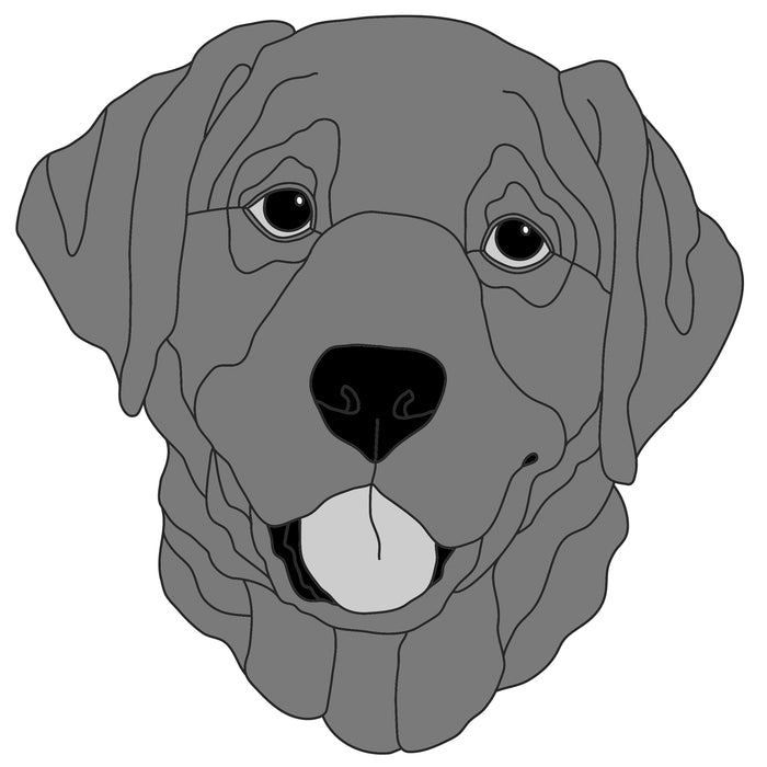 Labrador Retriever Head #2
