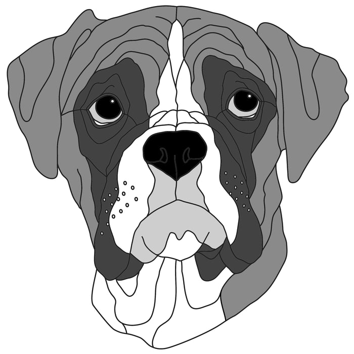 Boxer Head #2