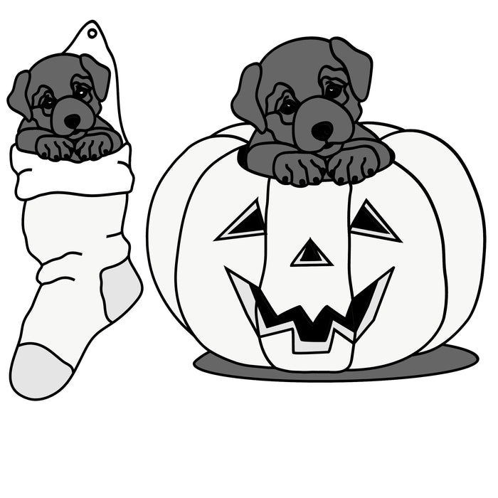Stocking and Pumpkin Pups Labrador