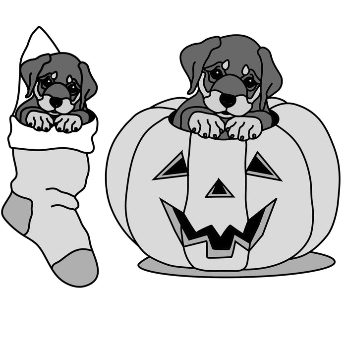 Stocking and Pumpkin Pups Rottweiler