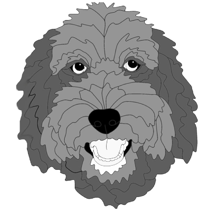 Labradoodle Head