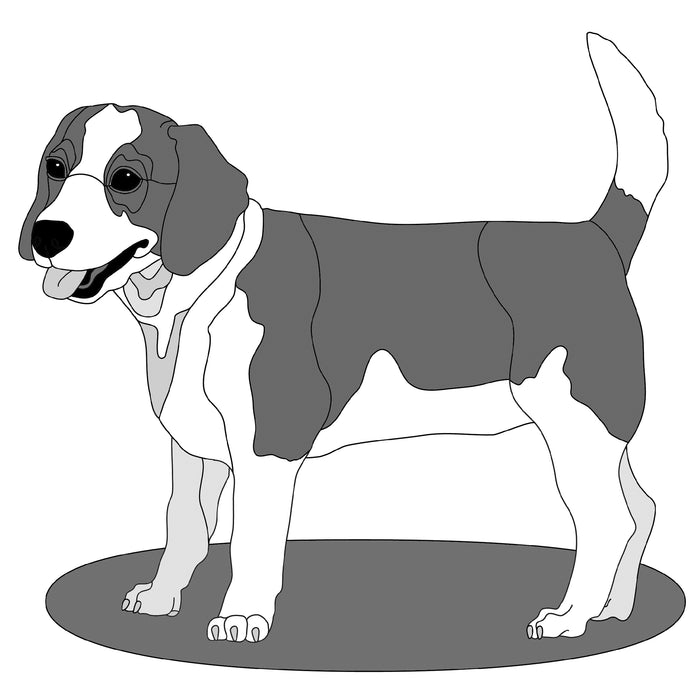 Standing Beagle