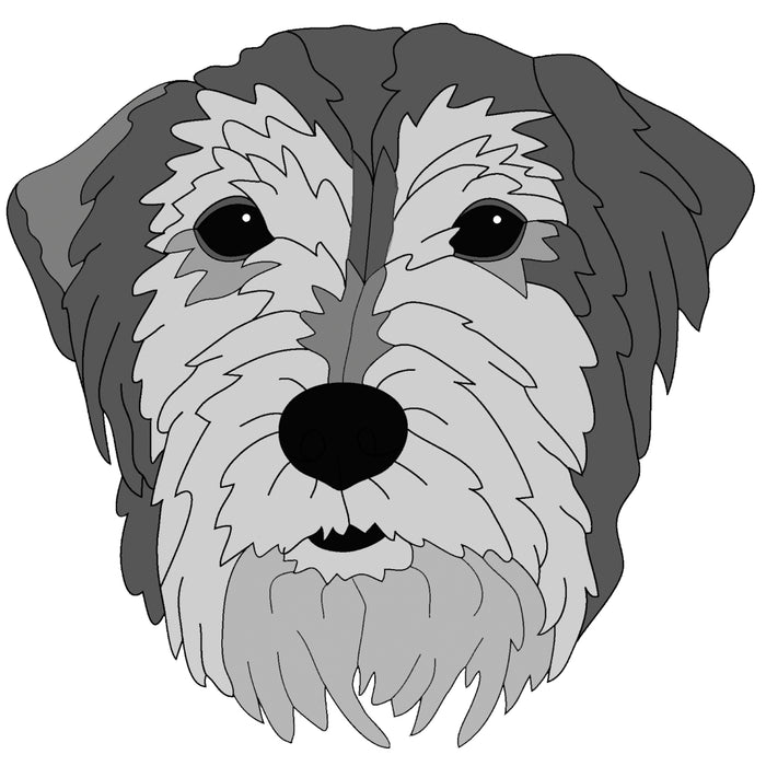 German Wire-Haired Pointer Head