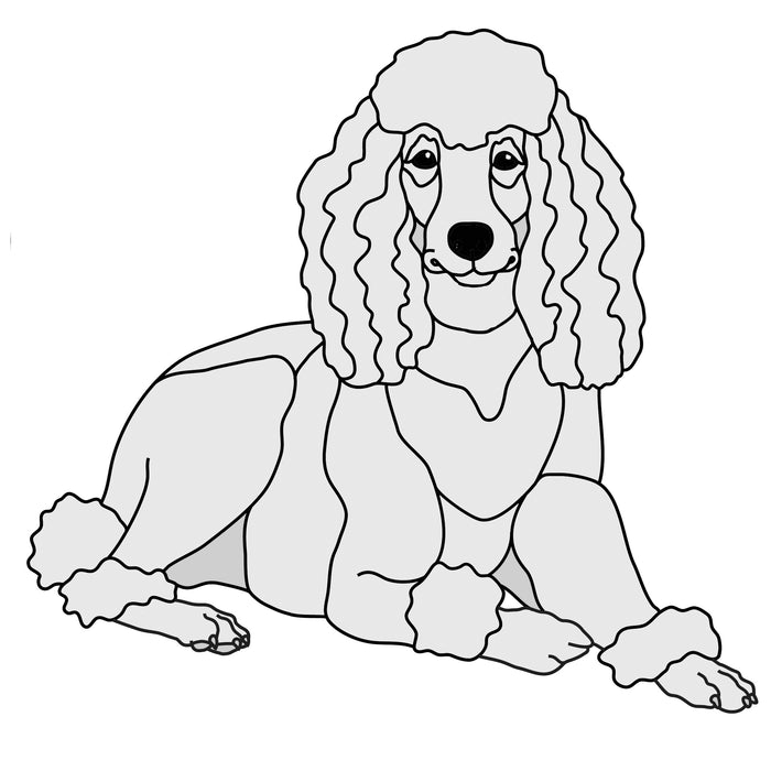 Lying Poodle ( new version)