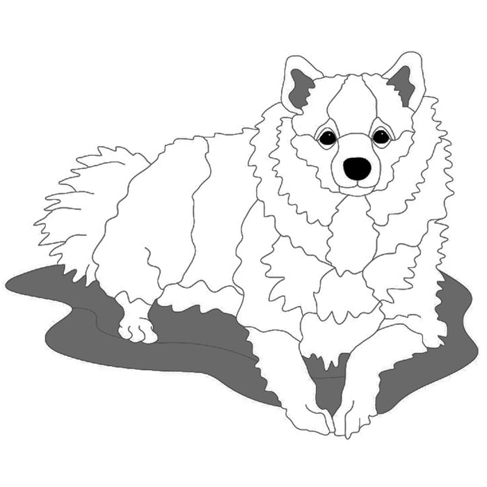 Lying Spitz