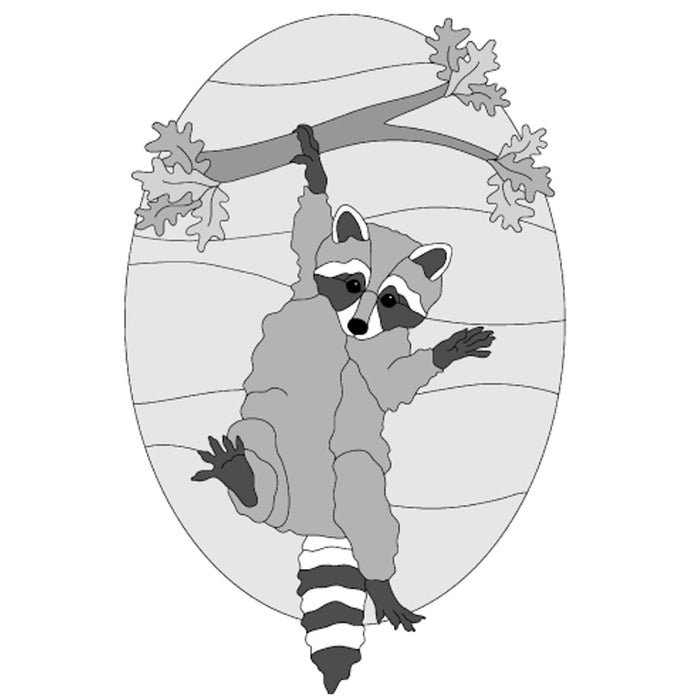Raccoon Hanging on