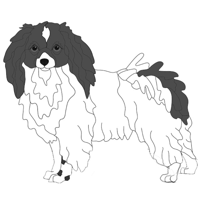Drop Ear Papillon Standing