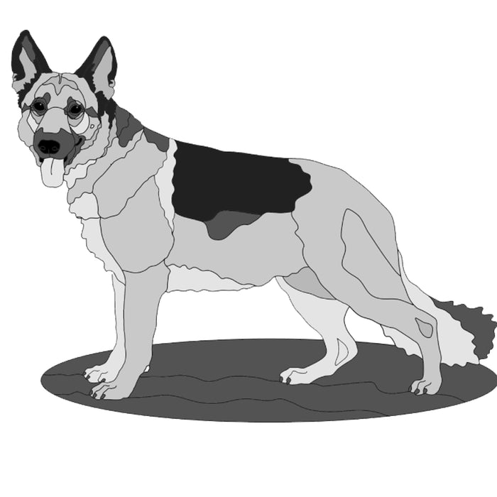 German Shepherd Standing #2