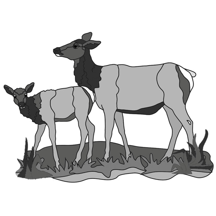 Elk Cow and Calf Standing