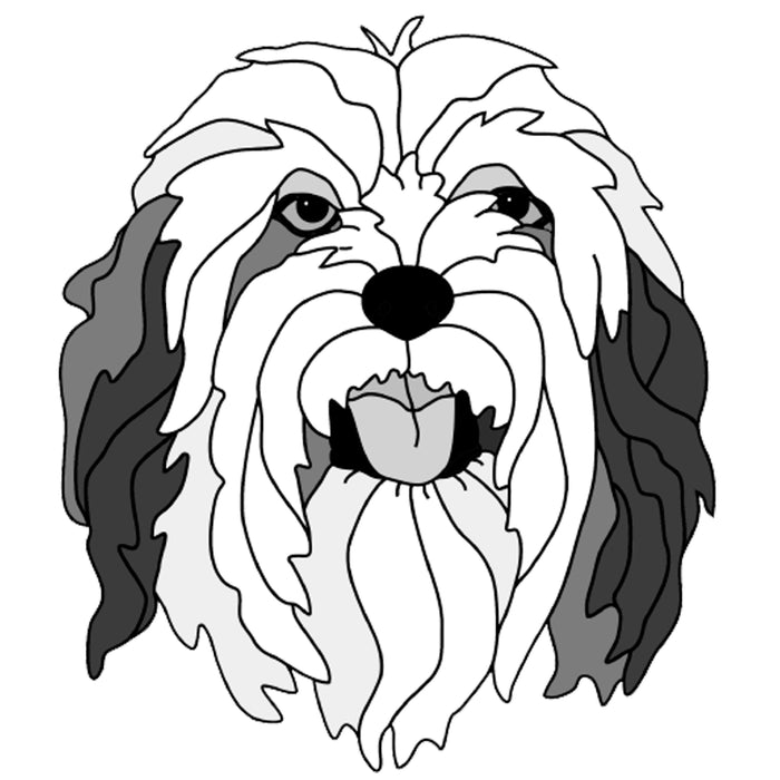 Tibetan Terrier Head