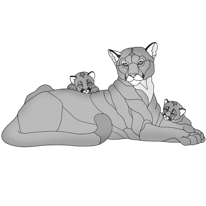 Mountain Lion Lying with cubs