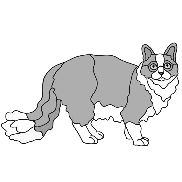 Longhair Cat Standing (new revised)