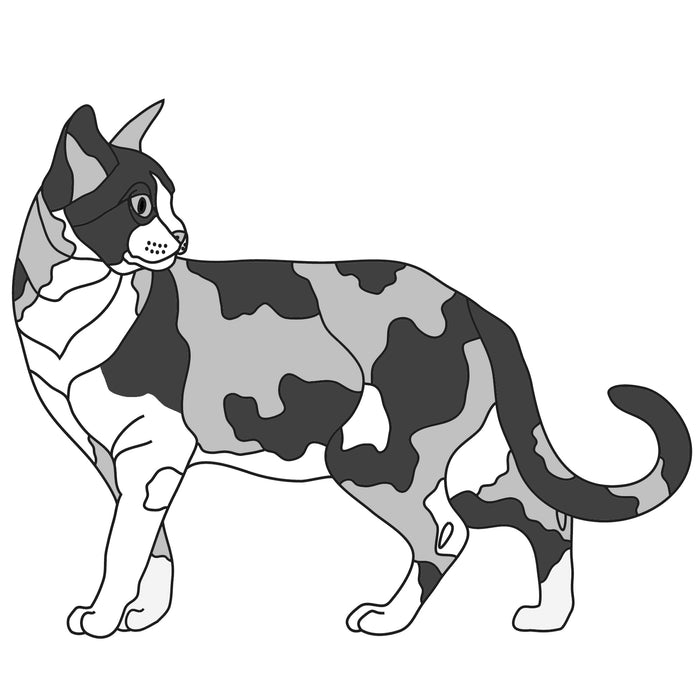 Calico Cat Standing