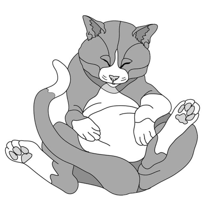 Lazy Cat Sleeping (New Revised)