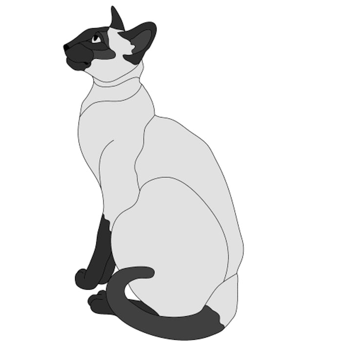 Sitting Siamese Cat (New Revised)